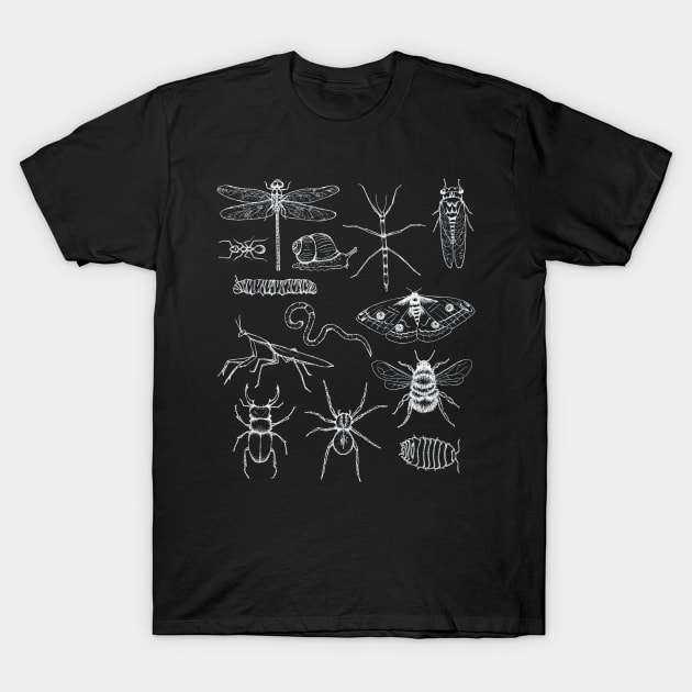 Minibeasts T Shirt With Insects T-Shirt by mazurprop